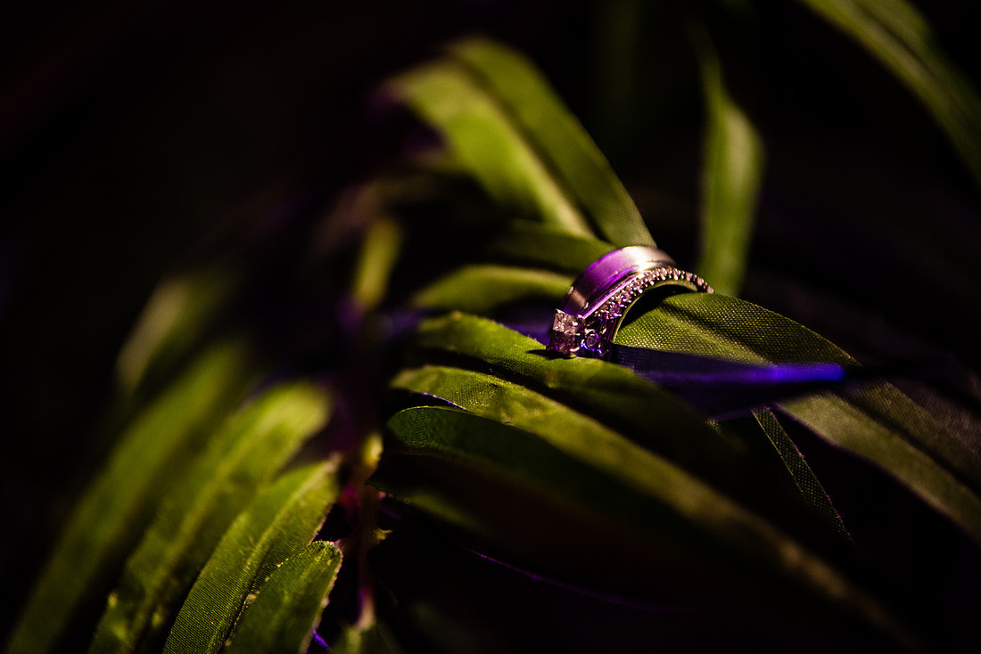 A Wedding at The Woodwinds, Brandford, CT