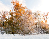 Autumn's Snow