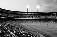 Pastime's Paradise